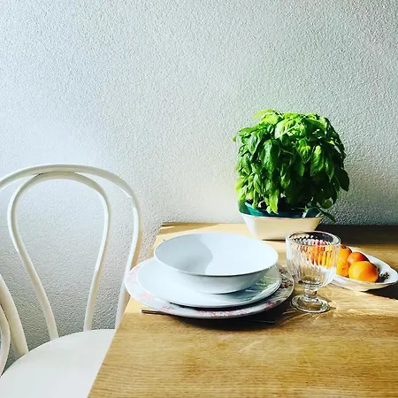 559 Апартаменты Елса