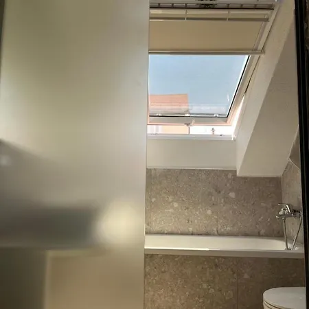 Апартаменты 559