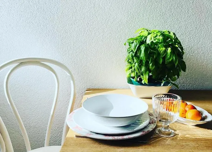 559 شقة ييلسا